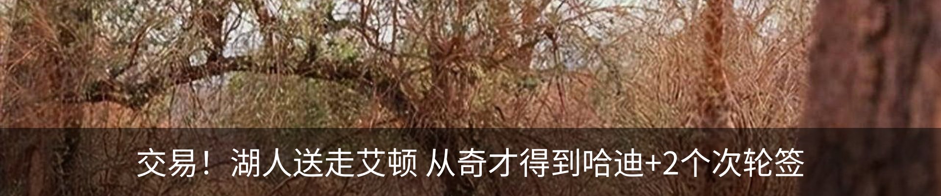 资讯动态